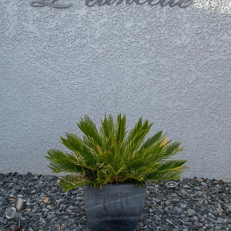L'etincelle